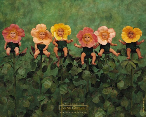 AnneGeddes_Wallpaper1280_168